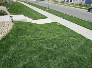 Shashank G.'s Lawn Maintenance service result