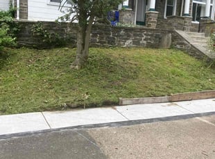 Angela M.'s Lawn Mowing service result