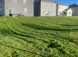 Maria H.'s Lawn Service service result