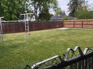 Sharon P.'s Lawn Maintenance service result