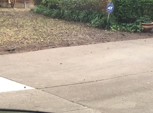 Leaf Removal by Tim Richardson for William & Carole C. in Fort Worth, TX