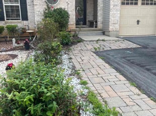 Bush Trimming by Veronica Lick for David C. in Allentown, PA
