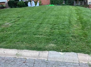 Jason E.'s Lawn Maintenance service result
