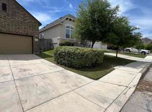 Samelynn C.'s Yard Cutting service result