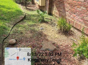 Weeding by Mark Vel for Cathy J. in Arlington, TX