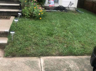 Larry J.'s Grass Cutting service result