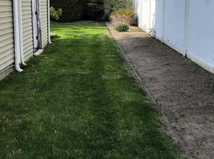 Philip M.'s Lawn Care service result