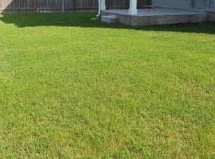 Carly J.'s Lawn Care service result