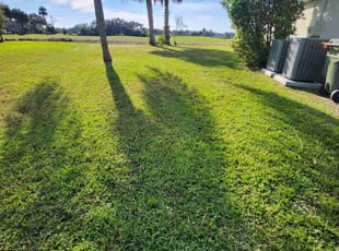 Brian T.'s Grass Cutting service result