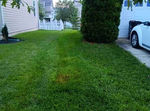 JaMarcia S.'s Lawn Care service result