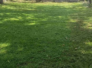 Christopher B.'s Yard Cutting service result