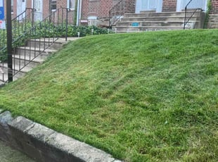 Jagger P.'s Lawn Maintenance service result