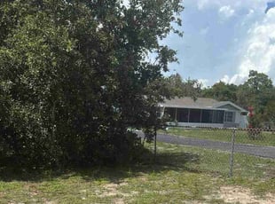 Bush Trimming by Michelle Baker for Nicole P. in Tampa, FL