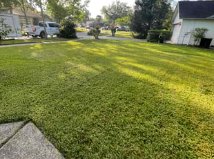 Dwayne A.'s Lawn Mowing service result