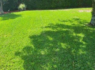 Sharon F.'s Lawn Mowing Service service result
