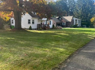 Michele B.'s Lawn Service service result