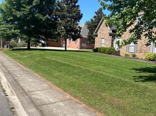 Chris F.'s Lawn Service service result