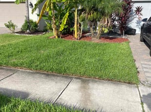 Aly C.'s Lawn Mowing service result