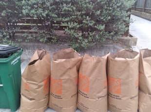 Cleanups by Lucio Gonzales for Siobhan H. in Austin, TX