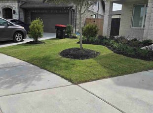 Linda M.'s Lawn Mowing service result