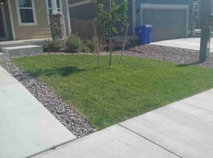 Linda V.'s Lawn Mowing Service service result