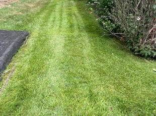 Vicki S.'s Lawn Care service result