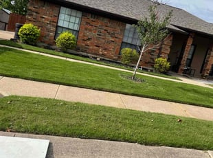 Morgan P.'s Lawn Mowing service result