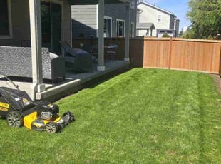 Mike S.'s Lawn Service service result