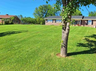 Joshlyn R.'s Lawn Maintenance service result