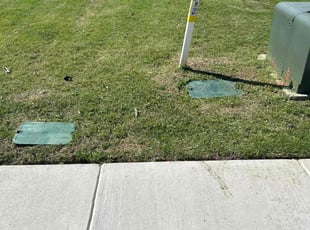 Tonia I.'s Lawn Care service result