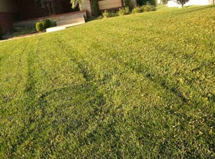 Cleanups by Randy Evans for Laron D. in Wichita, KS