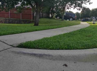 Damaris P.'s Lawn Mowing service result