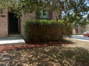 Bush Trimming by Stephen Sifuentes for Kendall S. in San Antonio, TX