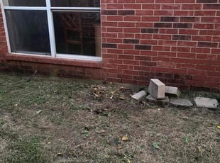 Bush Trimming by Victor Ramirez for Alan K. in Arlington, TX