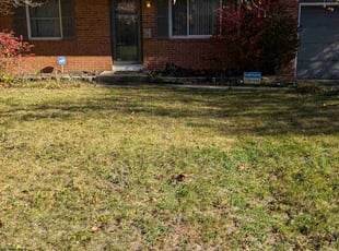 Leaf Removal by Josh Papworth for Erick C. in Columbus, OH