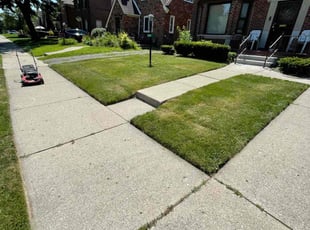 Nick S.'s Lawn Service service result