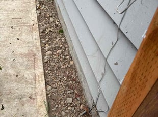 Leaf Removal by Marisa Blair for Tom R. in Tukwila, WA