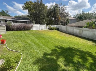 Carisa S.'s Lawn Mowing service result