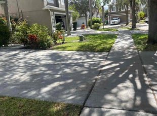 Antoine P.'s Lawn Mowing service result