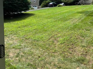 Jeannie R.'s Lawn Maintenance service result