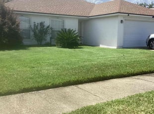 Susan J.'s Lawn Mowing service result