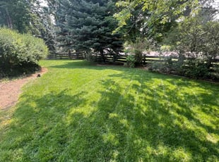 Pat K.'s Lawn Service service result