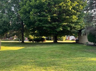 Victoria A.'s Lawn Care service result