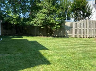 Leisha B.'s Lawn Mowing service result