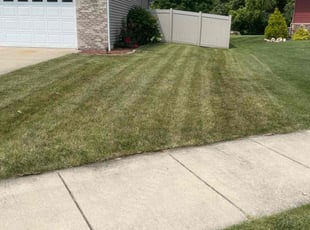 Ben K.'s Lawn Maintenance service result
