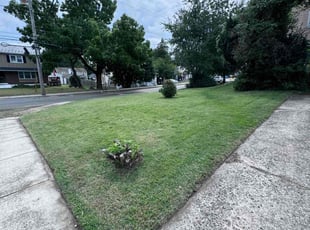 Cordaven H.'s Lawn Care service result