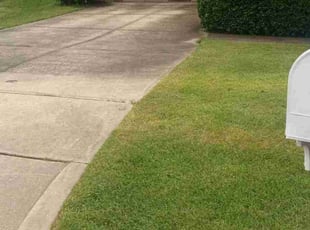 Christopher H.'s Lawn Service service result