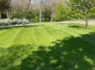 Joslyn R.'s Lawn Mowing service result