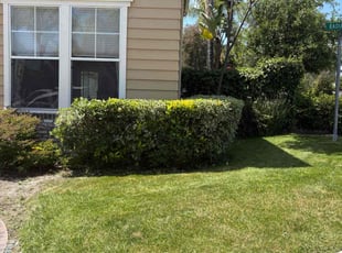 Bush Trimming by J Andres Gomez for Alex B. in Rancho Santa Margarita, CA