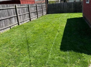 patrick p.'s Lawn Service service result